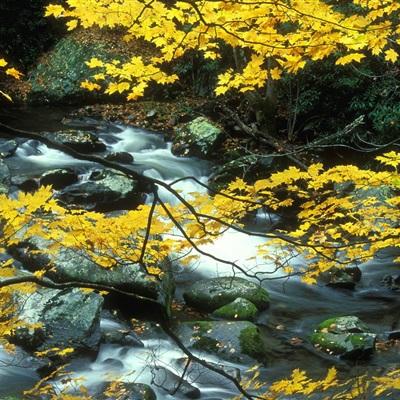 大蓝游戏蜀山战神手游下载